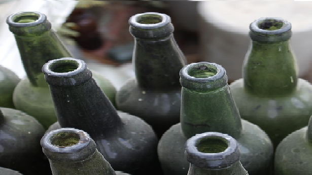Elaboración de vinos tintos y blancos de Rioja Alavesa