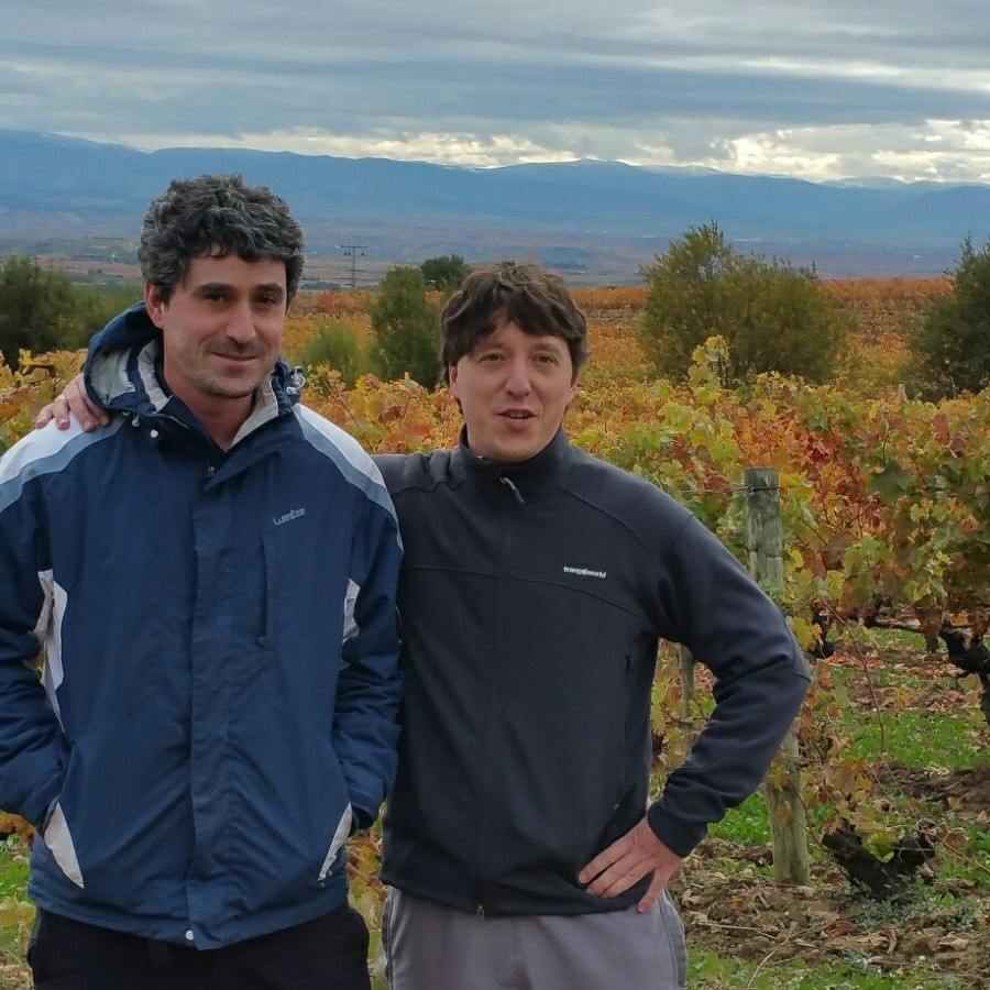 La vendimia llega su fin en Rioja Alavesa