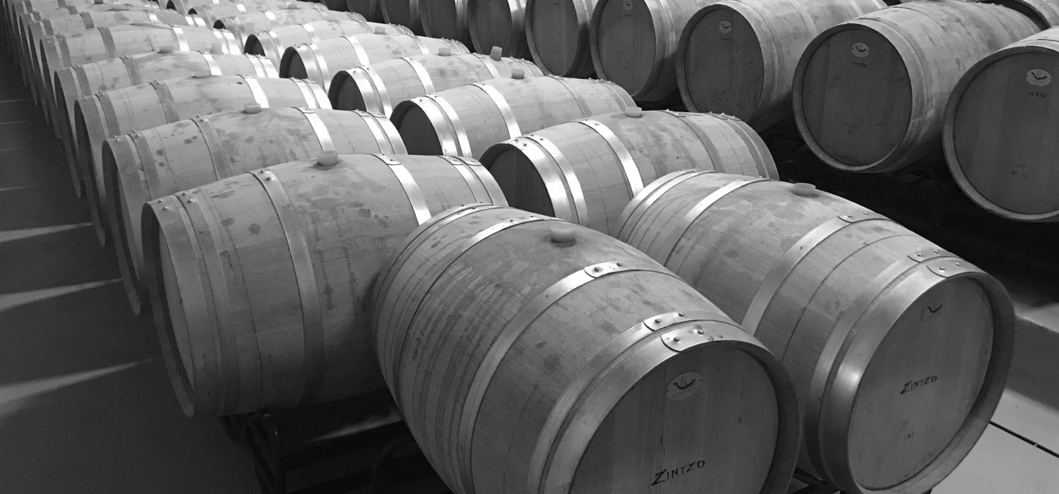 historia Bodegas Zintzo Rioja Alavesa