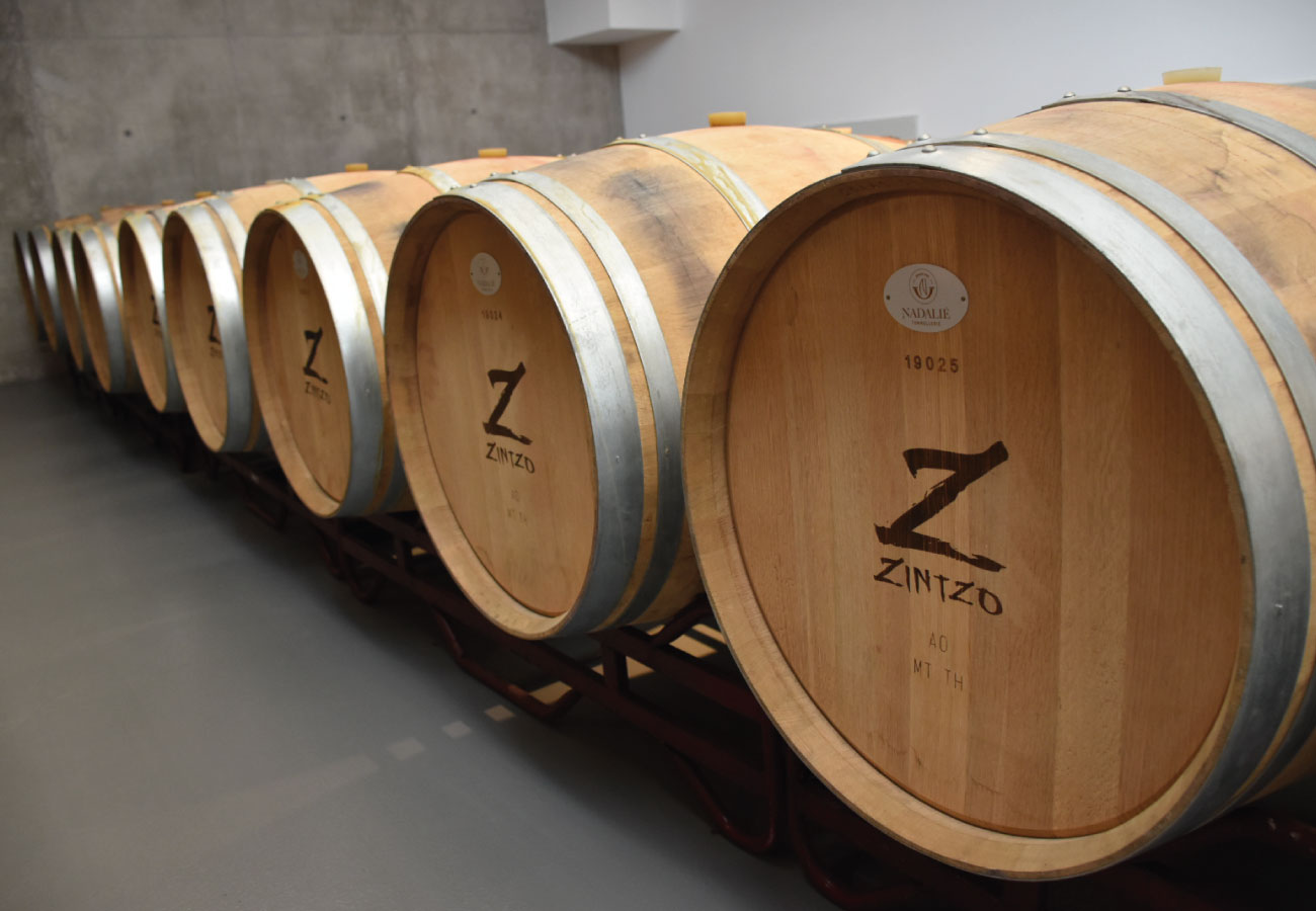Vinos Zintzo Rioja Alavesa