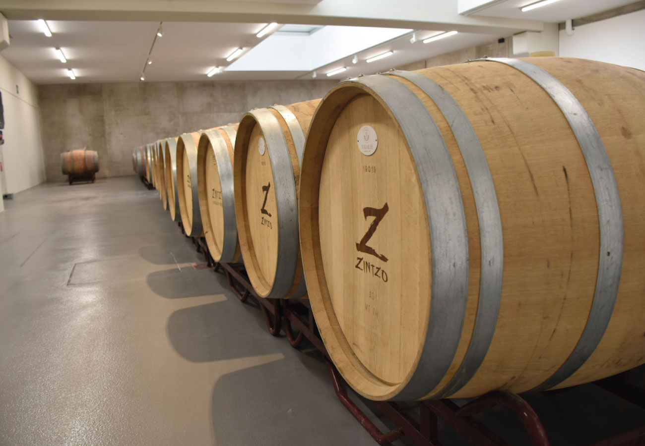 Vinos Zintzo Rioja Alavesa